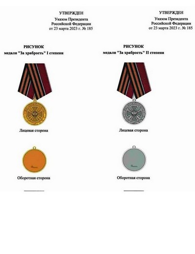 В России учреждена медаль "За храбрость".